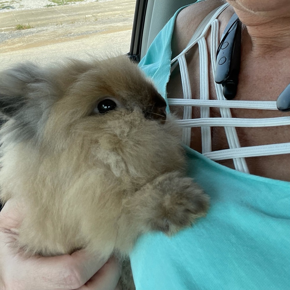 Meet your Posher, Angie